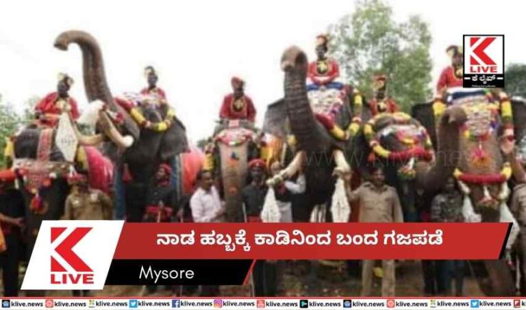 ನಾಡ ಹಬ್ಬಕ್ಕೆ  ಕಾಡಿನಿಂದ ಬಂದ ಗಜಪಡೆ