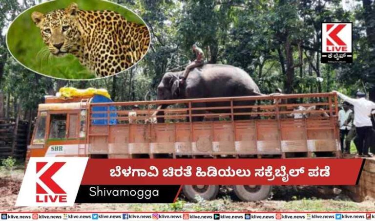 ಬೆಳಗಾವಿ ಚಿರತೆ ಹಿಡಿಯಲು  ಸಕ್ರೆಬೈಲ್ ಪಡೆ