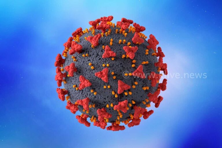 ದೇಶದಲ್ಲಿ ಒಂದೇದಿನ 6,298 ಕೋವಿಡ್ ಪ್ರಕರಣ ಪತ್ತೆ