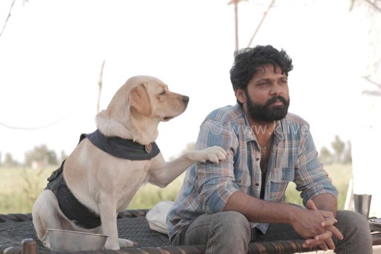 ಸಿನಿಮಾದ ಚಾರ್ಲಿ 777 ಈಗ ರಿಯಲ್ ಲೈಫ್ ಪರೋಪಕಾರಿ