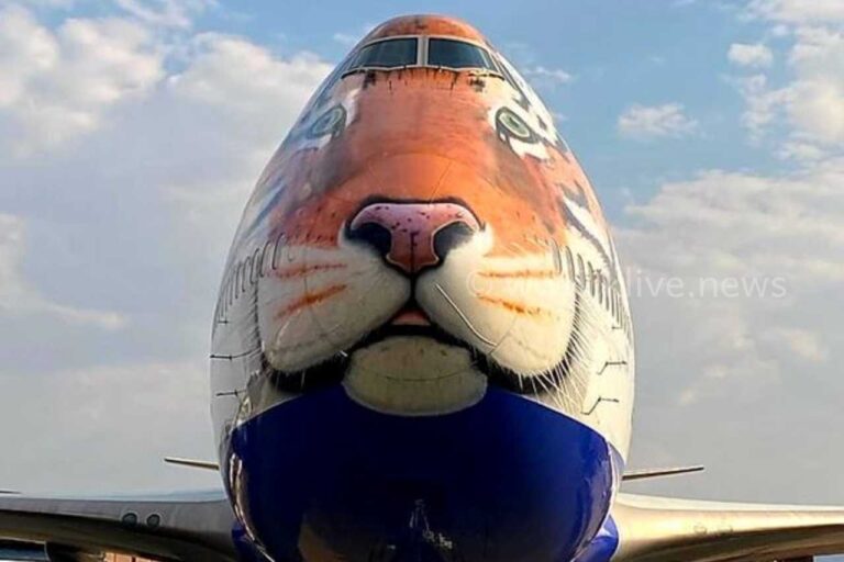 ಭಾರತಕ್ಕೆ ನಮೀಬಿಯಾದಿಂದ 8 ಚಿರತೆಗಳು ಬರಲಿವೆ