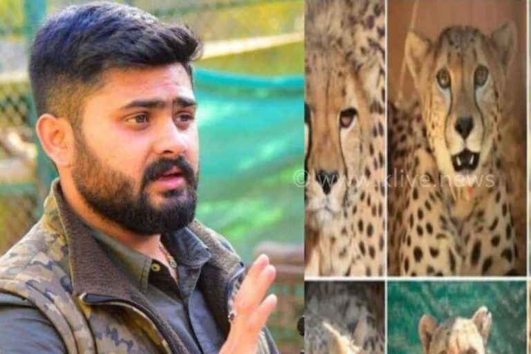 ಚೀತಾಗಳನ್ನು ತಂದ ತಜ್ಞರ ತಂಡದಲ್ಲಿ ಕನ್ನಡಿಗ ಕೃಷ್ಣ