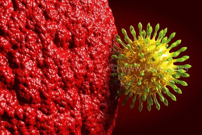 ದೇಶದಲ್ಲಿ ಕೊರೋನ ಸೋಂಕಿತರ ಸಂಖ್ಯೆ ಇಳಿಮುಖ