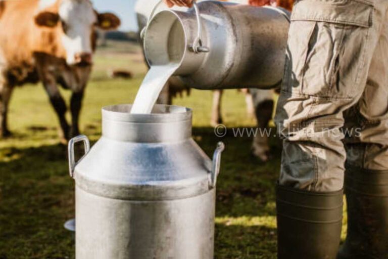 ರಾಬಕೊವಿ ಹಾಲು ಒಕ್ಕೂಟದಿಂದ ಹಾಲು   ಖರೀದಿ ಲೀ ಗೆ ₹1 ಹೆಚ್ಚಿಗೆ