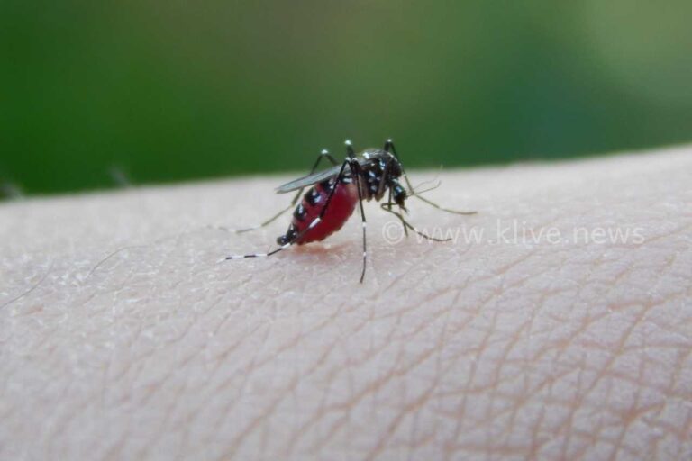 ಉತ್ತರಾಖಂಡದಲ್ಲಿ  ಡೆಂಗ್ಯು ಹಾವಳಿ