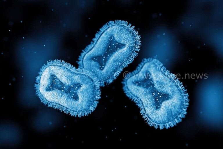 ಯುನೈಟೆಡ್ ಸ್ಟೇಟ್ಸ್ ನಲ್ಲಿ ಮಂಕಿಪಾಕ್ಸ್ ಗೆ ಮೊದಲ ಬಲಿ