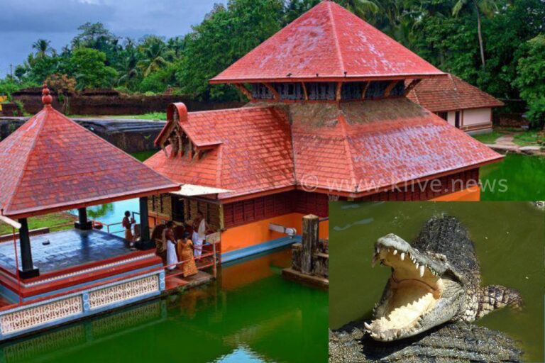 ಪ್ರತ್ಯಕ್ಷ ದೈವದ ಸಂಕೇತವಾಗಿದ್ದ ಮೊಸಳೆ ಬಬಿಯಾ ಸಾವು