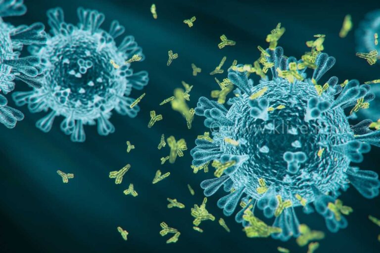 ಯುರೋಪಿನಲ್ಲಿ ಮತ್ತೆ ಕೋವಿಡ್ ಅಲೆ ವಿಶ್ವಸಂಸ್ಥೆಯಿಂದ ಎಚ್ಚರಿಕೆ