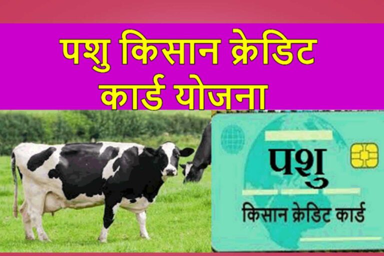 ರೈತರಿಗೆ ಈಗ ಹೊಸ ಯೋಜನೆಯಲ್ಲಿ ₹3 ಲಕ್ಷದವರೆಗೆ ಸಹಾಯಧನ