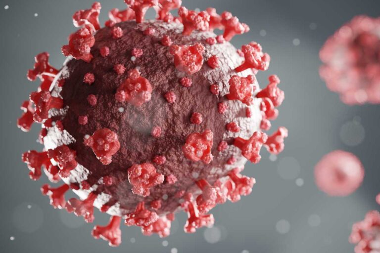 ಕೊರೋನ ನಿರ್ಬಂಧವಿಲ್ಲ ಆದರೆ ಮಾರ್ಗಸೂಚಿ ಪಾಲಿಸಿ-ಡಾ.ಸುಧಾಕರ್