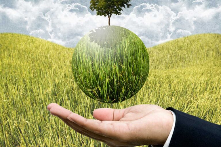 ಫಸಲ್ ವಿಮಾ ಯೋಜನೆ- ನೋಂದಣಿಗೆ ಡಿ 31 ಕೊನೇ ದಿನಾಂಕ