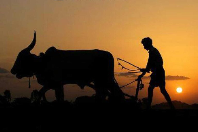 ಮನಸ್ಸಿನಿಂದ ಮನಸ್ಸಿಗೆ -05