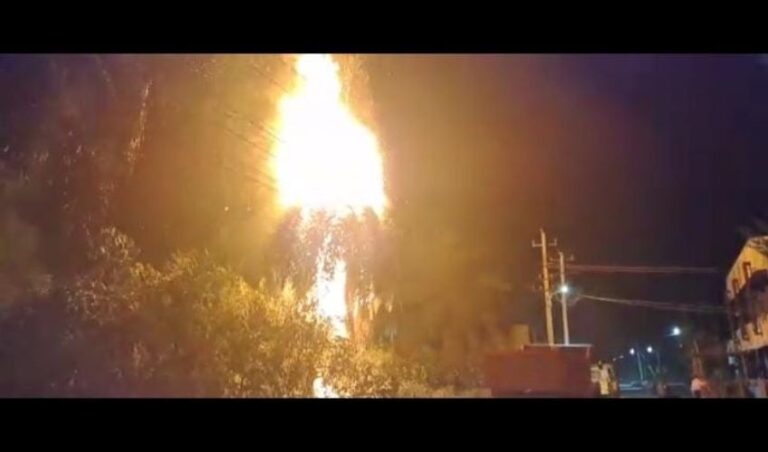 ಹೊಸ ವರ್ಷಾಚರಣೆ ಉಲ್ಲಾಸದಲ್ಲಿ ಸನಿಹದ ಮರಗಳಿಗೆ ಅಗ್ನಿ ಸ್ಪರ್ಶ