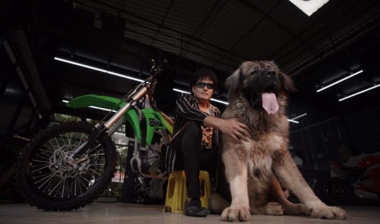 ₹20 ಕೋಟಿ ಮೌಲ್ಯದ ಶ್ವಾನ ಬಳ್ಳಾರಿ ಉತ್ಸವ ಶ್ವಾನ ಪ್ರದರ್ಶನದ ವಿಶೇಷ ಆಕರ್ಷಣೆ