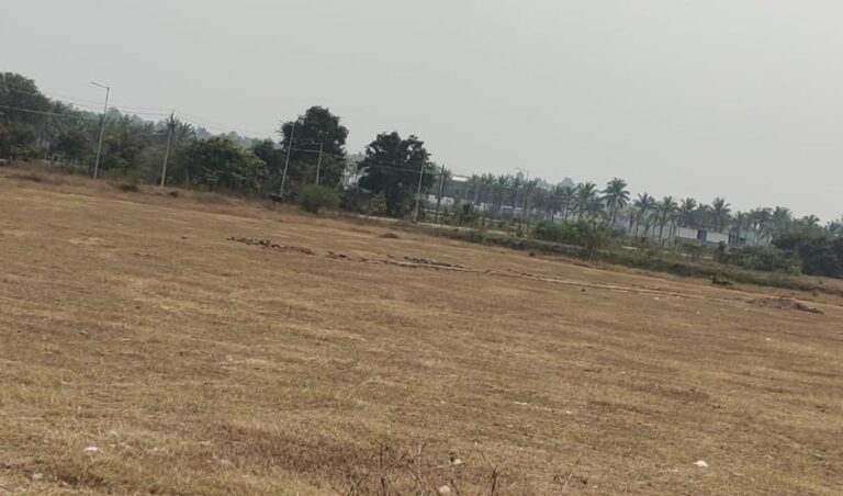 ಶಿವಮೊಗ್ಗದಲ್ಲಿ ರಾಜ್ಯಮಟ್ಟದ ಟೆನಿಸ್ ಬಾಲ್ ಕ್ರಿಕೆಟ್ ಪಂದ್ಯಾವಳಿ