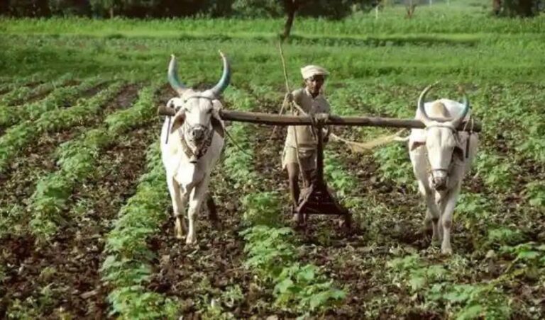 ಸೊರಬ ತಾಲ್ಲೂಕಿನಲ್ಲಿ  ಕೃಷಿ ಸಿಂಚಾಯಿ ಯೋಜನೆಗೆ ಅರ್ಜಿ ಆಹ್ವಾನ