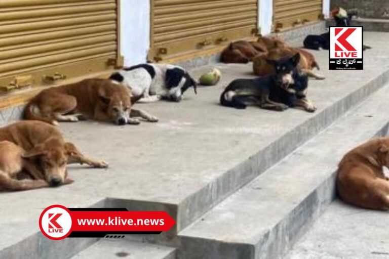 Shivamogga City Corporation ಬೀದಿ ನಾಯಿಗಳ ಕಾಟ ತಪ್ಪಿಸಲು ಶಿವಮೊಗ್ಗ ಮಹಾನಗರ ಪಾಲಿಕೆಯಿಂದ ಸೂಕ್ತ ಕ್ರಮ