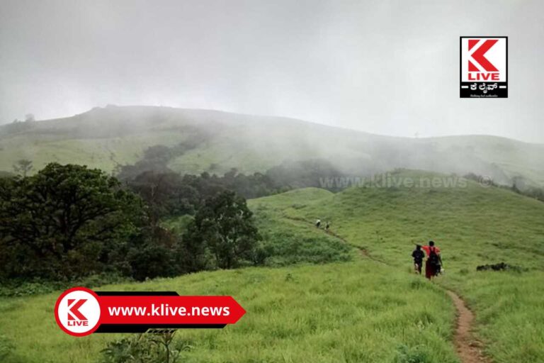 Ragi Gudda Shivamogga ಶಿವಮೊಗ್ಗ ಜಿಲ್ಲಾಡಳಿತವೇ ಇತ್ತ ಆಲಿಸಿ ರಾಗಿಗುಡ್ಡ ಉಳಿಸಿ