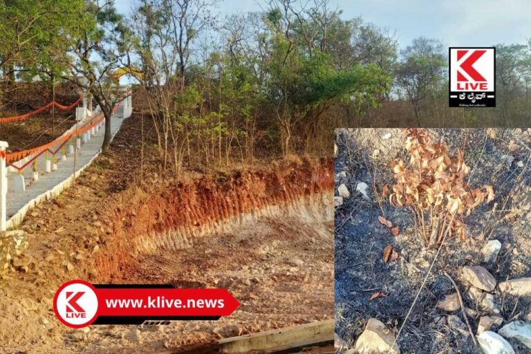 Breaking News ರಾಗಿಗುಡ್ಡಕ್ಕೆ ಬೆಂಕಿ!ಪರಿಸರ ಪ್ರಿಯರೇ ಬನ್ನಿ ಪರಿಸರ ಉಳಿಸೋಣ
