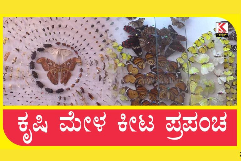 Krishi Mela in Shivamogga 2023 | ಕೃಷಿ ಮೇಳ ಕೀಟ ಪ್ರಪಂಚ – Shivamogga News