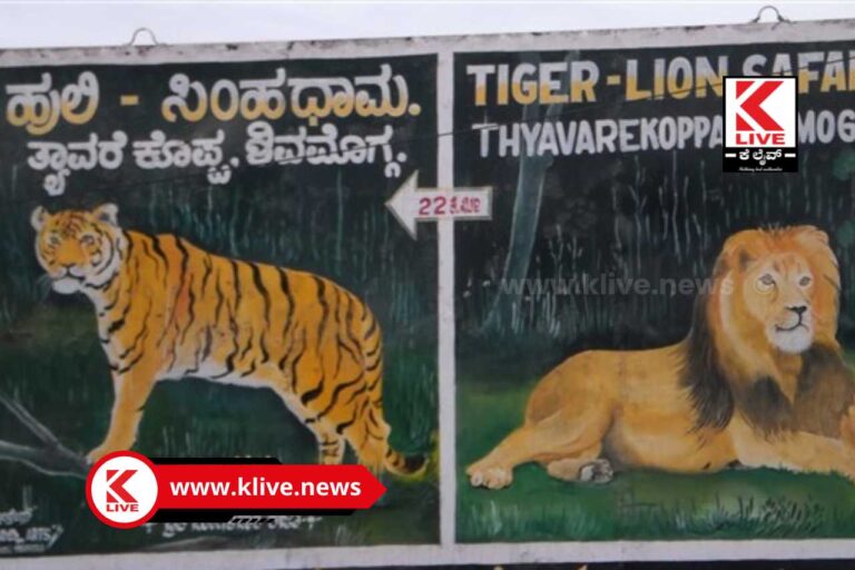 Tiger and Lion Safari ಏಪ್ರಿಲ್ 25 ರಂದು ತ್ಯಾವರೆಕೊಪ್ಪ ಹುಲಿಸಿಂಹಧಾಮ ಓಪನ್ ಇರುತ್ತದೆ