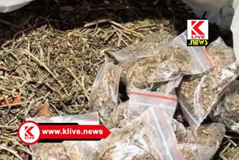 Shivamogga Police ಶಿವಮೊಗ್ಗ ಸಮೀಪ ಗಾಂಜಾ ಮಾರುತ್ತಿದ್ದ ಯುವಕನ ಬಂಧನ