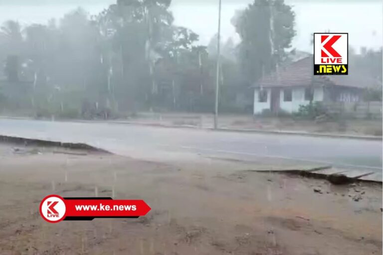 Shivamogga News ಹೊಸನಗರ ತಾಲ್ಲೂಕಿನಾದ್ಯಂತ ವರ್ಷವೈಭವ