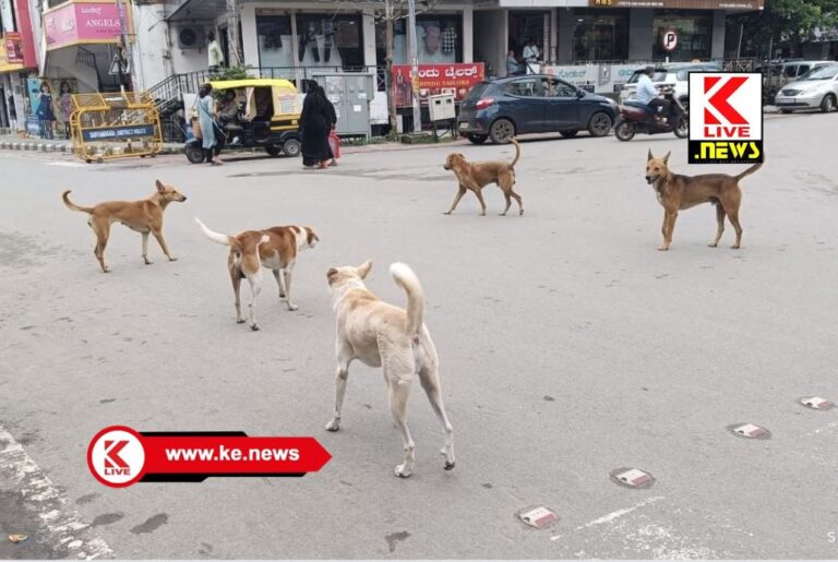 ಬೀದಿನಾಯಿಗಳಿಗೆ ಸಂತಾನಹರಣ ಶಸ್ತ್ರಚಿಕಿತ್ಸೆ ಮತ್ತು ರೇಬಿಸ್ ಲಸಿಕೆ ಕಾರ್ಯಕ್ರಮ