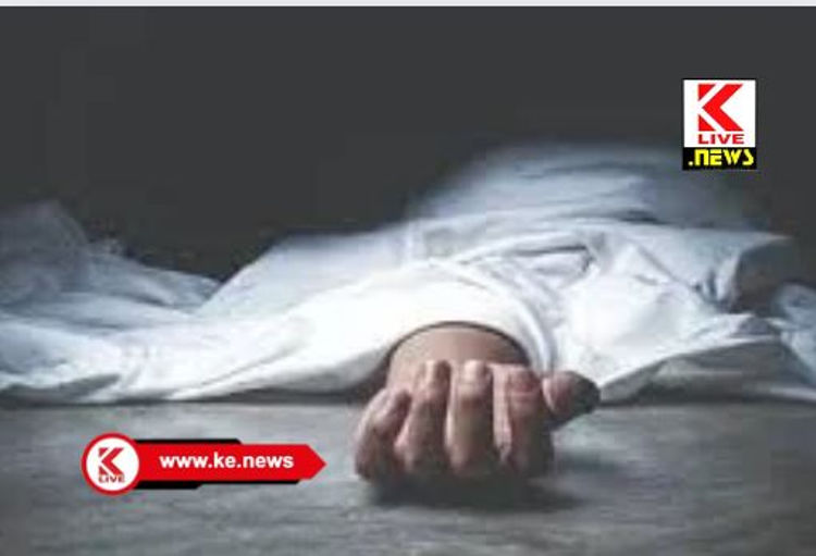 Hosanagara Police ಸಂಕ ದಾಟುವಾಗ ಜಾರಿ ಹಳ್ಳಕ್ಕೆ ಬಿದ್ದು ಕೊಚ್ಚಿಹೋದ ಮಹಿಳೆ ಸಾವು