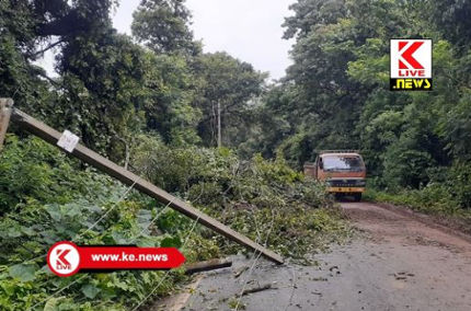 Rain In Shivamogga ಸೊರಬ ತಾಲ್ಲೂಕಿನಲ್ಲೂ ಎರ್ರಾಬಿರ್ರಿ ಮಳೆಗೆ ಉರುಳಿದ ಮರಗಳಿಂದ ಸಂಚಾರ ಅಸ್ತವ್ಯಸ್ತ