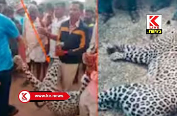 Forest Department ಚಿರತೆ ಕಾಟ ತಡೆಯಲಾರದೇ ಗ್ರಾಮಸ್ಥರೇ ಅದನ್ನ ಕೊಂದ ಘಟನೆ