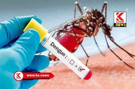 Dengue Fever ರಾಜ್ಯದಾದ್ಯಂತ ಸು. 7000 ಡೆಂಗ್ಯು ಪ್ರಕರಣಗಳ ವರದಿ ಅಗತ್ಯ ನಿಯಂತ್ರಣ ಕ್ರಮದ ಬಗ್ಗೆ ಸಚಿವರ ಮನವಿ
