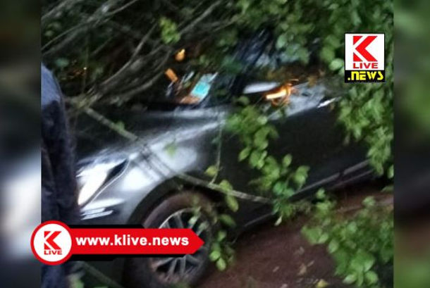 Holalkere Police ಟಿ.ನುಲೇನೂರು ಬಳಿ ಬಸ್ ಅಪಘಾತ ಶಿಕಾರಿಪುರದ ನಿವಾಸಿಯ ಮರಣ