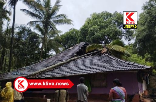 Hasanagara Panchayath ಹೊಸನಗರ ತಾಲ್ಲೂಕಿನ ಅರಗೋಡಿಯಲ್ಲಿ ಮಳೆಗೆ ಮನೆಯ ಮೇಲೆ ಬಿದ್ದ ತೆಂಗಿನ ಮರ