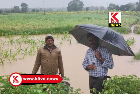 Meteorological Department ಮಳೆ ಜಾಸ್ತಿ. ಕೃಷಿಕರಿಗೆ ಕೆಲವು ತಕ್ಷಣದ ಸಲಹೆಗಳು-ಎಸ್.ಟಿ.ರಮೇಶ್. ಸಹಾಯಕ ಕೃಷಿ ನಿರ್ದೇಶಕ