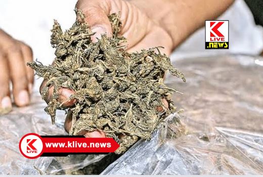 Ganja news : ಚೋರಡಿಯಲ್ಲಿ ಗಾಂಜಾ ಸೇವನೆ ಪ್ರಕರಣ. ಈರ್ವರ ಬಂಧನ