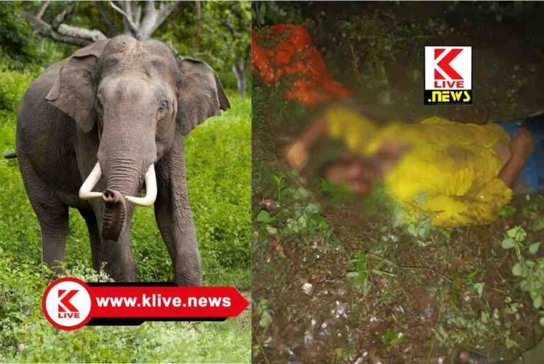 Elephant Attack ಪುರದಾಳು ಪಂಚಾಯ್ತಿ ವ್ಯಾಪ್ತಿಯಲ್ಲಿ ಕಾಡಾನೆ ದಾಳಿ.ಕೃಷಿ ಕಾರ್ಮಿಕನ ಸಾವು