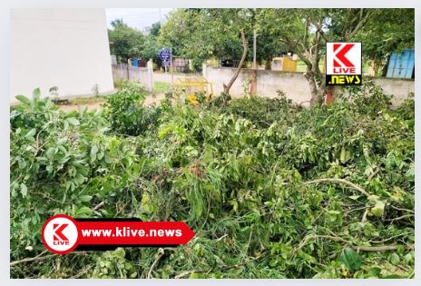 Khushi Well Fair Team ಮರದ ಕೊಂಬೆಗಳಿಂದ ಶಾಲಾಕೊಠಡಿಗೆ ಆಗಿದ್ದ ಅನಾನುಕೂಲ ತಪ್ಪಿಸಿದ “ಖುಷಿ” ತಂಡ