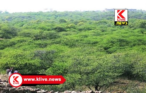 Shivamogga Forest Department ಹೊಳಲೂರು ಹೋಬಳಿ ಬಿಕ್ಕೋನಹಳ್ಳಿ ಮೀಸಲು ಅರಣ್ಯ ಒತ್ತುವರಿ ಅಪರಾಧಕ್ಕೆ ಶಿಕ್ಷೆ ಪ್ರಕಟ