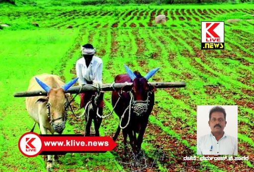 Klive Special Article ತಿಂಗಳ ಕವಿತೆ