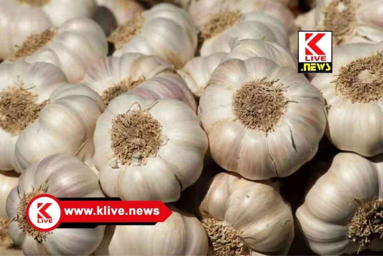 Garlic Price Hike ದಿಢೀರ್ ಬೆಳ್ಳುಳ್ಳಿ ಬೆಲೆ ಏರಿಕೆ ನಡುವೆ ಚೀನಾ ಬೆಳ್ಳುಳ್ಳಿ ಮಾರುಕಟ್ಟೆ ಪ್ರವೇಶ. ಅಧಿಕಾರಿಗಳ ದಾಳಿ