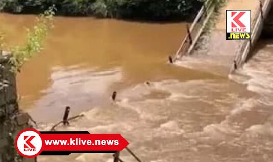 Bhadravati ಮಳೆಯ ಆರ್ಭಟ: ಹಂಚಿನ ಸಿದ್ದಾಪುರದಲ್ಲಿ ಕುಸಿದ ಸೇತುವೆ