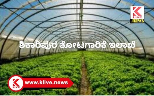 Shikaripura Horticulture Department ಶಿಕಾರಿಪುರ  ತಾಲ್ಲೂಕಿನಲ್ಲಿ ತೋಟದ ಬೆಳೆಗಳ ಪ್ರದೇಶ ವಿಸ್ತರಣೆಗೆ ಕಾಮಗಾರಿ ಕೈಗೊಳ್ಳುವ ಆಸಕ್ತರಿಗೆ ಮಾಹಿತಿ