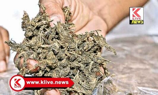 Kumsi Police ಕುಂಸಿ ಠಾಣಾ ವ್ಯಾಪ್ತಿಯಲ್ಲಿ ಗಾಂಜಾ ಮಾರಾಟ, ಆರೋಪಿಗಳ ದಸ್ತಗಿರಿ