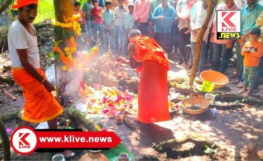 ನೋನಿ ಹಬ್ಬ , ಮಲೆನಾಡಿನ ವಿಶಿಷ್ಟ ಆಚರಣೆ