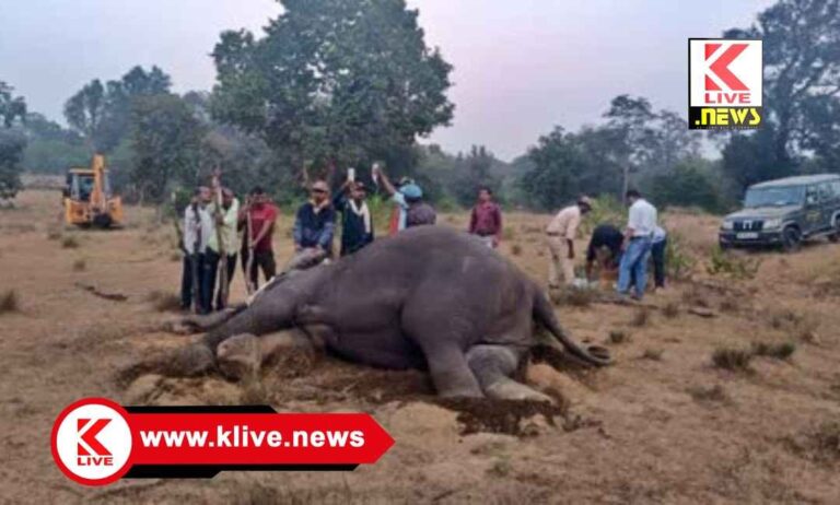 Madhya Pradesh ಹುಲಿ ಮೀಸಲು ಅರಣ್ಯದಲ್ಲಿ ಹತ್ತು ಆನೆಗಳ ನಿಗೂಢ ಸಾವು.ತನಿಖೆಗೆ ಕ್ರಮ