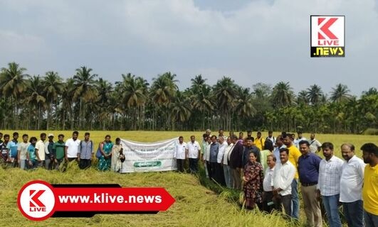 University of Agricultural & Horticultural Sciences  ವಿವಿಧ ಭತ್ತದ ತಳಿಗಳ ತಾಕಿನಲ್ಲಿ ಕೃಷಿ ವಿವಿ ಆಶ್ರಯದಲ್ಲಿ ಕ್ಷೇತ್ರೋತ್ಸವ