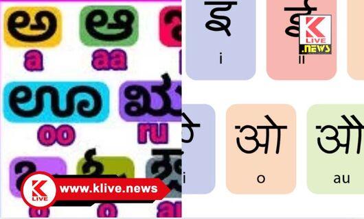 Klive Special Article ಭಾಷಾ ಕರುಳಿನ ಉರುಳಲ್ಲಿ ಕನ್ನಡಿಗರೊಬ್ಬರ ಅನುಭವ                               ಬರಹ: ಡಾ.ಎಚ್.ಎಸ್.ಸುರೇಶ್. ಬೆಂಗಳೂರು