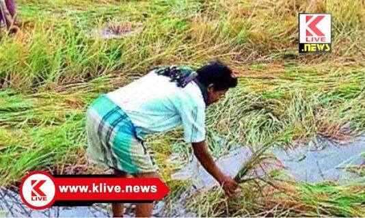 ಶಿಕಾರಿಪುರ ತಾಲ್ಲೂಕಿನ ಕೆಲವು ಗ್ರಾಮಗಳಲ್ಲಿ ಆದ ಬೆಳೆ ನಷ್ಟ ಪರಿಹಾರಕ್ಕೆ ಪ್ರಸ್ತಾವನೆ: ಆಕ್ಷೇಪಣೆ ಸಲ್ಲಿಕೆಗೆ ಅವಕಾಶ