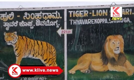Tiger and Lion Safari ಡಿಸೆಂಬರ್ 17,24 & 31 ರಂದು ಪ್ರವಾಸಿಗರಿಗಾಗಿ ಹುಲಿಸಿಂಹ ಧಾಮ ಓಪನ್